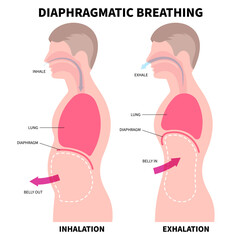 Deep breathe exercise techniques for stress relief or relax and lung anatomy medical