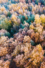 Fototapeta premium tropical coral reef