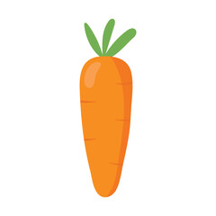 Cartoon carrot isolated on white background. Vector illustration