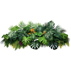 Tropical leaves, palm tree leaves isolated on transparent background