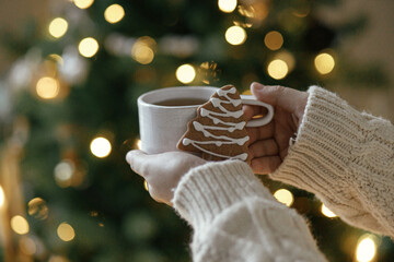 Merry Christmas! Hands in sweater holding warm cup of tea with gingerbread cookie against moody...