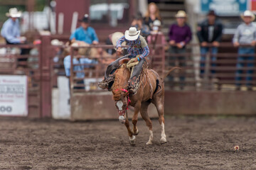 A cowboy is riding a bucking bronco at a rodeo. An out of coral with a red railing and people...