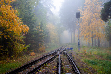 Abandoned railway in the woods in the morning in the fog