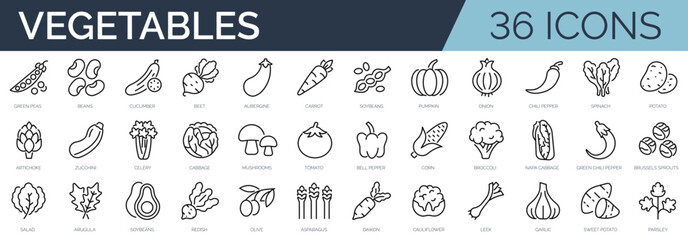 Set of 36 outline icons related to vegetables. Linear icon collection. Editable stroke. Vector illustration