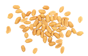 Roasted and salted peanuts pile isolated on white background, top view