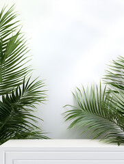 Fototapeta na wymiar Minimalistic white mock up shelf scene with a green palm tree leaves, product presentation concept 
