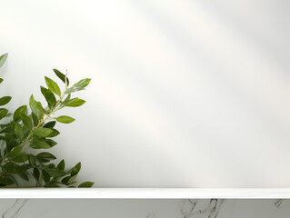 Minimalistic white mock up shelf scene with a green plant, product presentation concept 