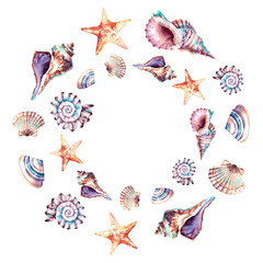 A wreath of shells and a starfish. Marine composition. Frame. Watercolor illustration on an isolated background. Design of postcards, decor.
