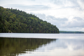 Obraz premium Pine Trees on Island in Long Pond in Maine