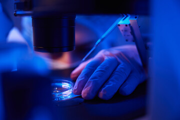 Experienced laboratory scientist preparing for cell micromanipulation