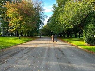 Tranquil autumn evening park landscape, with old trees, bushes, lawns, and and a blue sky in, Lister Park, Bradford, UK