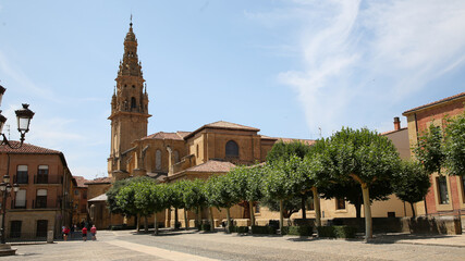 Catedral del Salvador, Santo Domingo de la Calzada, La Rioja, España - obrazy, fototapety, plakaty