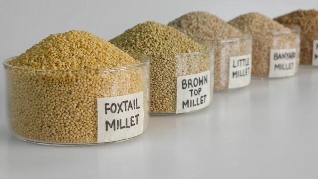 Siridhanya Millets or Five positive millets arranged in bowls with label