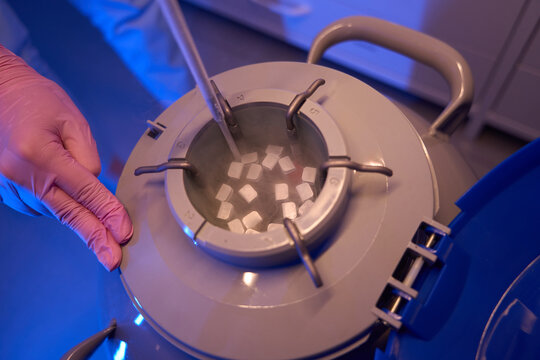 Researcher is putting samples into cryogenic tank for storage