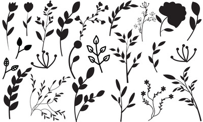 Set of elegant silhouettes of flowers. Branches, leaves, herbs, flowers, wild plants. Garden, meadow, field collection leaf, foliage. white background, hand drawing.