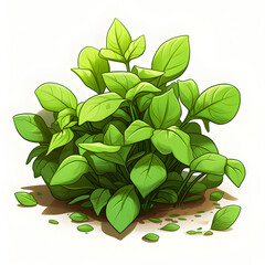 Green basil bush in cartoon style. Fresh aromatic herb for cooking - obrazy, fototapety, plakaty