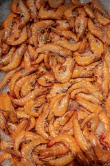 świeże krewetki na lodzie