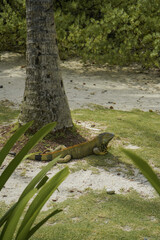Ilha de San Andrés, na Colômbia