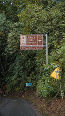 Vale do Cocora em Salento, Colômbia