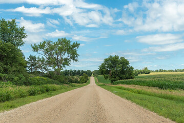 Looking down a gravel country road lined with fields on a sunny day in rural Minnesota, USA.
