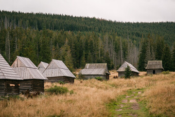 Fototapeta na wymiar Old cabins at Kopieniec Wielki in Zakopane, Poland