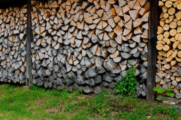 Pile of wood logs storage for industry. Wall of stacked wood logs as background. a pile of natural wooden logs background.