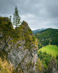View from Nosal, in the Tatra Mountains, Zakopane, Poland