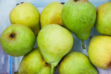 many ripe pears in a plate. the concept of growing pears
