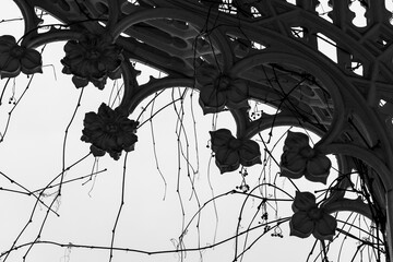 Vintage forged iron silhouette, arch decoration with dry vine on it, close-up