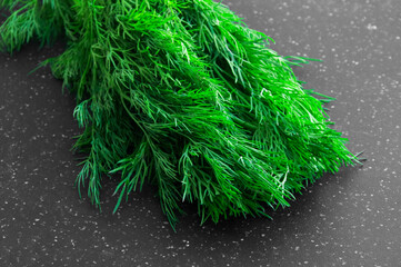 green fresh dill on dark background. salad preparation concept