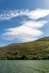 tarasy winnic uprawiających winorośl do produkcji doskonałego porto. Rzeka Duoro, Portugalia