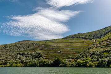 majestatyczne chmury nad wzgórzami porośniętymi winoroślą a w dole płynąca rzeka Duoro. Portugalia - obrazy, fototapety, plakaty