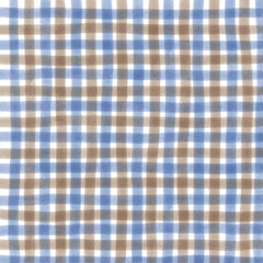 Blue Brown Gingham Check Hand Drawn Background 