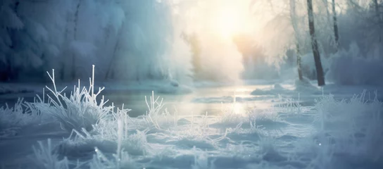 Fotobehang Cold season outdoors landscape, frost grass beside a river in a forest ground covered with ice and snow, under the morning sun - Winter seasonal background © mozZz