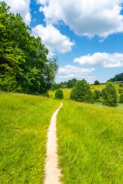 Narrow rural pathway in hilly landscape with lush green meadows on sunny summer day.