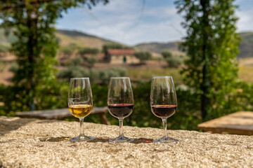 zestaw degustacyjny 3 roczników wina Porto. w tle winnicą w której produkuje się te doskonałe wina