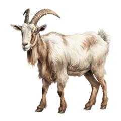 Fotobehang farm animal element. watercolor goat illustration. © Moopingz