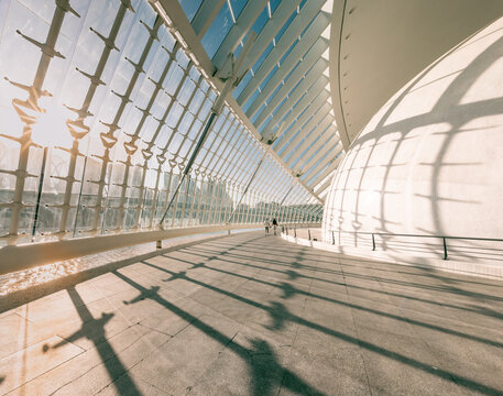 Valencia, Spain: interior oif City of Arts and Science Hemisferic, a modern building with an ovoid roof designed by Santiago Calatrava