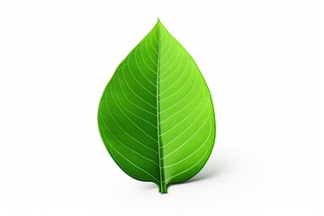 Obraz premium Good Luck Charm Packaging: Minimalist Green Shamrock Leaf Design, generative AI