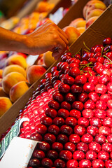 A man picks some cherries at a fruit shop in the market
