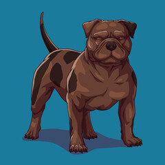 Dog american bully pitbull	