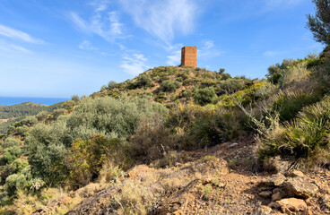 Castle ruin on mountain (Castillo De Almenara).