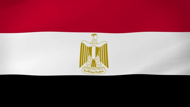 Egypt Waving Flag Realistic Animation Video