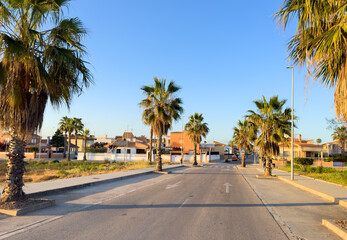 Fototapeta na wymiar Road with palm trees on the side. Palm trees in an empty road in suburb. Asphalt road and palm tree in the morning at dawn in Almarda, Casablanca, Spain.