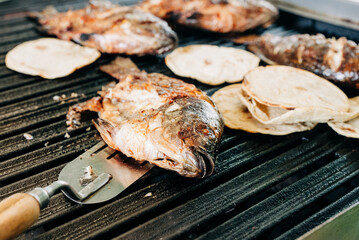 Grilled Fish with Hand Made Corn Tortillas on Grill