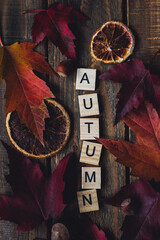 Woman's hands with Hello autumn text on dark wooden background. Composition with bright autumn leaves, pumpkin, dry citrus, walnut. Cozy fall mood concept. Flat lay, close up, top view, macro