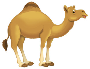 cartoon scene with camel like animal dromedary happy playing fun isolated illustration for children