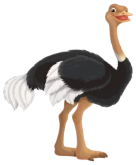 Foto auf Glas cartoon scene with bird ostrich happy having fun isolated illustration for children © agaes8080