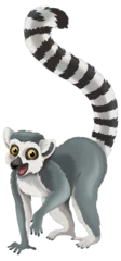 Foto op Canvas cartoon scene with lemur happy playing fun isolated illustration for children © agaes8080
