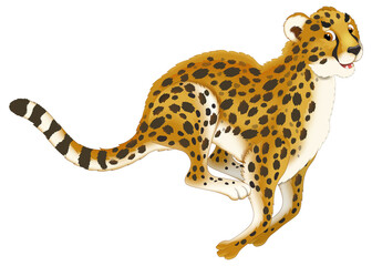 cartoon scene with cat cheetah happy playing fun isolated illustration for children